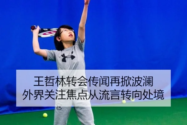 王哲林转会传闻再掀波澜 外界关注焦点从流言转向处境